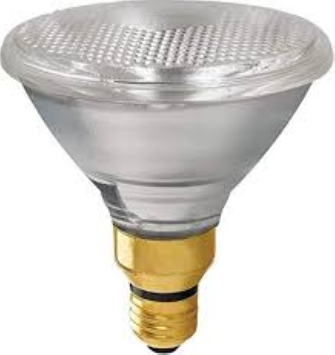 OSRAM PAR 38 SPOT 80W